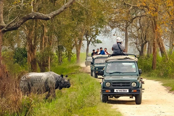 kaziaraga National park